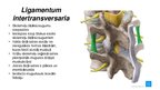 Prezentācija 'Mugurkaula savienojumi', 9.