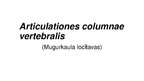 Prezentācija 'Mugurkaula savienojumi', 13.