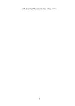 Referāts 'Mākoņa programmas', 6.