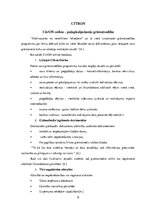 Referāts 'Mākoņa programmas', 9.