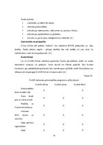 Referāts 'Mākoņa programmas', 10.