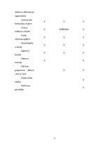 Referāts 'Mākoņa programmas', 11.