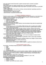 Konspekts 'LKK kvalifikācijas eksāmena atbildes', 11.