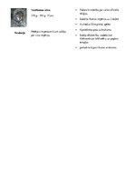 Konspekts 'Romas imperatori, to raksturojumi un sasniegumi', 4.