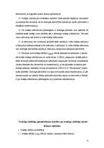 Referāts 'Troksnis un tā ietekme uz skolniekiem', 13.