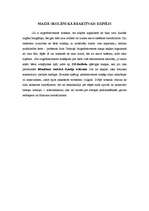 Referāts 'Troksnis un tā ietekme uz skolniekiem', 22.