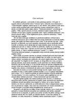 Eseja 'Situācijas analīze', 1.