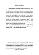 Referāts 'Rotaļas sendienās un mūsdienās', 3.