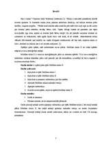 Referāts 'Spēle "Mūžības mīkla II"', 3.