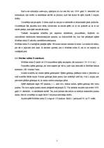 Referāts 'Spēle "Mūžības mīkla II"', 7.