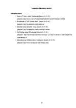 Referāts 'Spēle "Mūžības mīkla II"', 19.