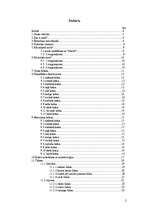 Referāts 'Aura', 2.