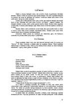 Referāts 'Aura', 19.