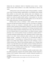 Diplomdarbs 'Pārvaldes ētika un labas pārvaldības pamatprincips', 42.