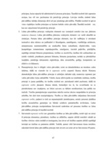 Diplomdarbs 'Pārvaldes ētika un labas pārvaldības pamatprincips', 67.