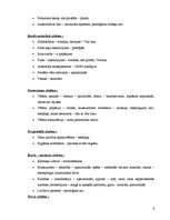 Paraugs 'Aprūpes plāns ķirurģijā', 6.