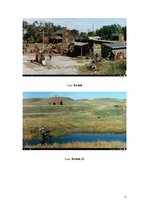 Referāts 'Filmas "The Reflecting Skin" analīze', 11.