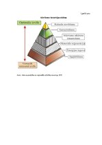 Referāts 'Atkritumu apsaimniekošana un pārstrāde Latvijā', 38.