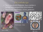 Prezentācija 'Dezinfekcijas līdzekļi', 2.