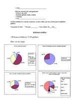 Paraugs 'Anketa un tās analīze', 2.