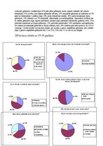 Paraugs 'Anketa un tās analīze', 4.
