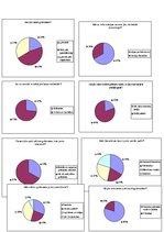 Paraugs 'Anketa un tās analīze', 6.