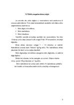 Referāts 'Meža kokaudzētavas', 9.