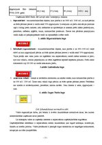 Prakses atskaite 'Prakses atskaite par Rimi darbību Latvijā', 11.