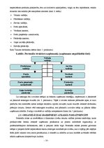 Prakses atskaite 'Prakses atskaite par Rimi darbību Latvijā', 16.