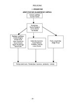 Prakses atskaite 'Prakses atskaite par Rimi darbību Latvijā', 29.