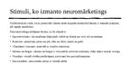 Prezentācija 'Neuromārketings', 4.