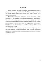 Biznesa plāns 'Apģērbu ražotnes izstrāde', 38.