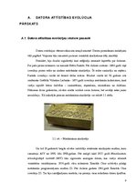 Referāts 'Datoru attīstības evolūcija no vienkāršiem līdz mūsdienīgiem', 9.