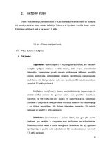 Referāts 'Datoru attīstības evolūcija no vienkāršiem līdz mūsdienīgiem', 19.