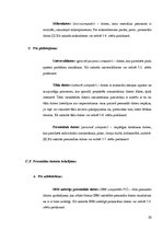 Referāts 'Datoru attīstības evolūcija no vienkāršiem līdz mūsdienīgiem', 20.