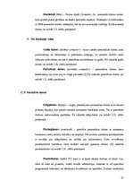 Referāts 'Datoru attīstības evolūcija no vienkāršiem līdz mūsdienīgiem', 21.