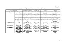 Prakses atskaite 'Restorānu prakse ēdināšanas uzņēmumā "Čili Pica"', 19.