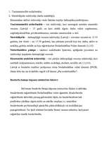 Konspekts 'Bezdarbs Latvijā', 4.