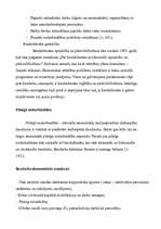 Konspekts 'Bezdarbs Latvijā', 8.