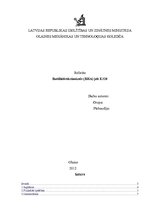 Referāts 'Butilhidroksianizols', 1.