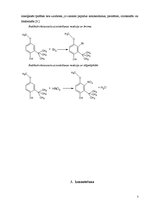 Referāts 'Butilhidroksianizols', 7.
