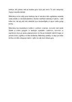 Eseja 'Reformācijas izplatība un būtiskākie virzieni', 2.