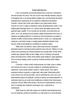 Referāts 'Makrakosms un mikrakosms', 5.