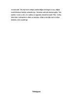 Referāts 'Makrakosms un mikrakosms', 6.