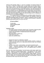 Eseja 'Problēmas būtības garīgā dimensija un sociālā darbinieka kā indivīda loma problē', 4.