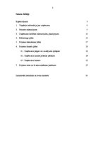 Biznesa plāns 'Dizaina studijas izveidošana', 2.