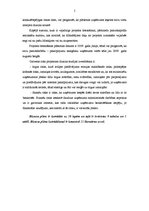 Biznesa plāns 'Dizaina studijas izveidošana', 5.