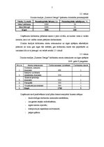 Biznesa plāns 'Dizaina studijas izveidošana', 7.