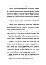 Biznesa plāns 'Dizaina studijas izveidošana', 10.