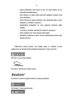 Biznesa plāns 'Dizaina studijas izveidošana', 12.